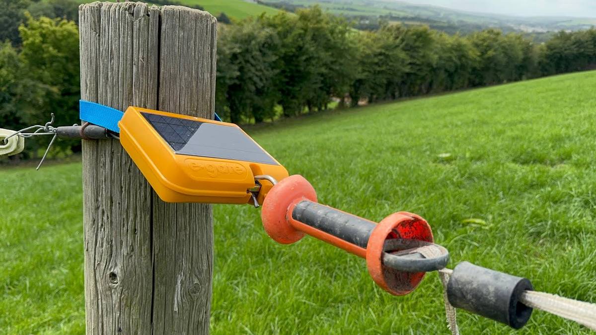 An e-gate release strapped to a fence post, the wire running off across the pasture