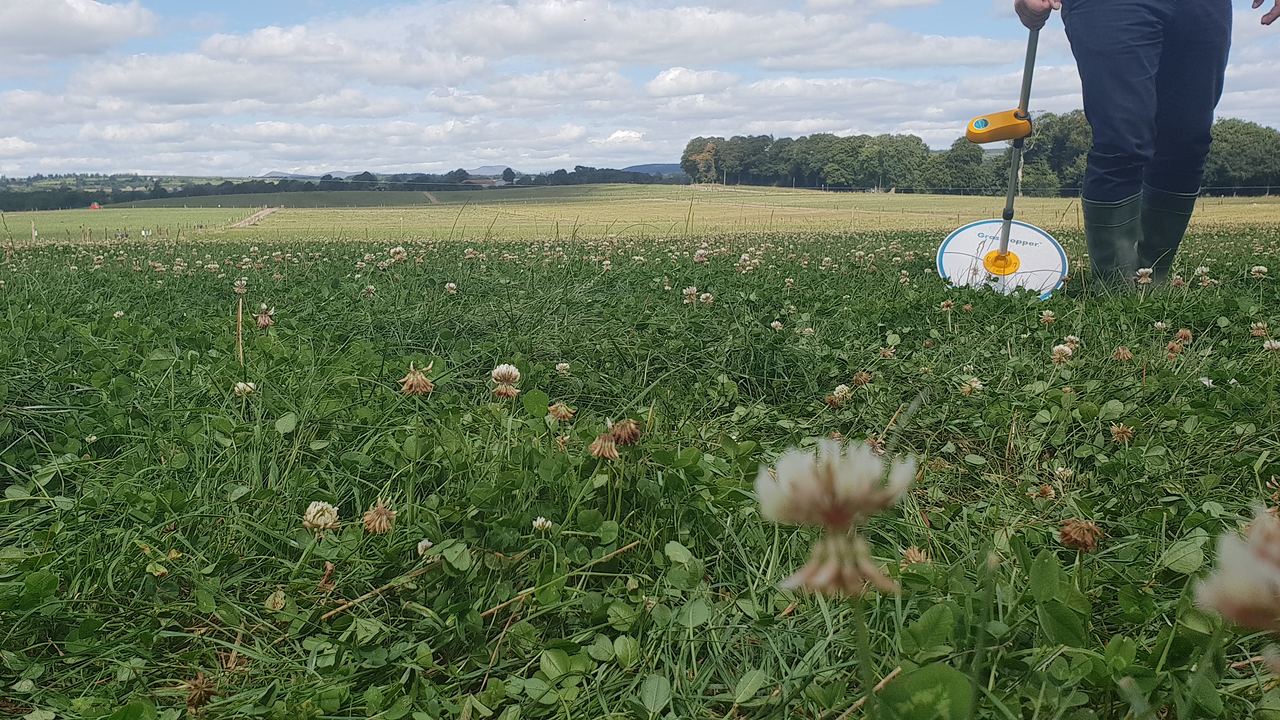 A Grasshopper plate meter being dropped into heavy grass, with the farmer walking the paddock