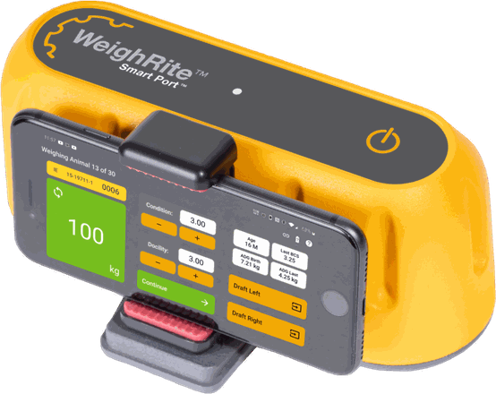 WeighRite